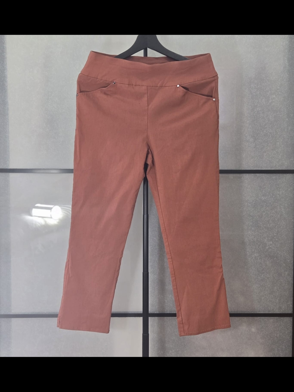 INC International Concepts Rust-Tone Women's Pants